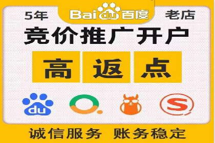 百度竞价排名案例分析：提升网站流量与转化率